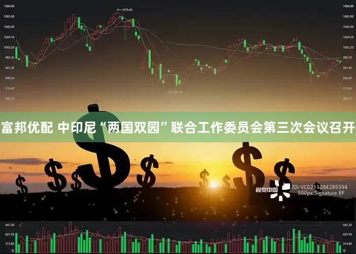富邦优配 中印尼“两国双园”联合工作委员会第三次会议召开